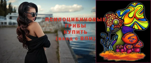 трава Абаза