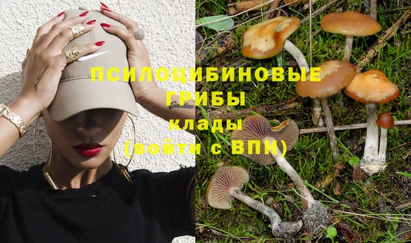 трава Абаза