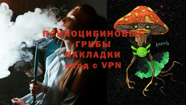 трава Абаза