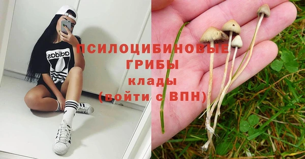 трава Абаза