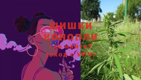 трава Абаза