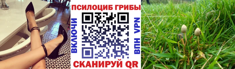 Галлюциногенные грибы мицелий  сайты даркнета какой сайт  Задонск 